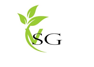 Trademark VSG