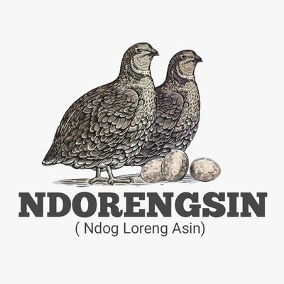 Trademark NDORENGSIN