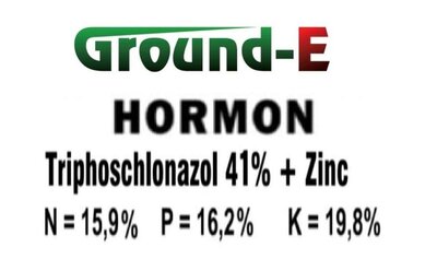 Trademark GROUND-E HORMON TRIPHOSCHLONAZOL 41% + ZINC N=15,9% P=16,2% K=19,8% DAN LOGO