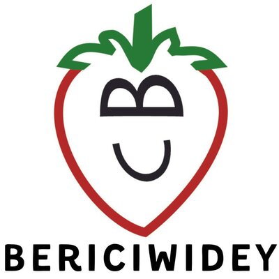 Trademark BERICIWIDEY