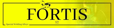 Trademark FORTIS