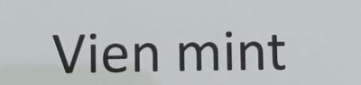 Trademark Vient mint