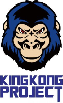 Trademark KINGKONG PROJECT