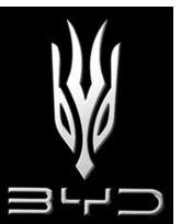 Trademark BYD (BIYADI) dan Lukisan