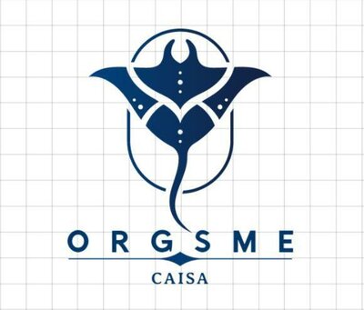 Trademark ORGSME CAISA