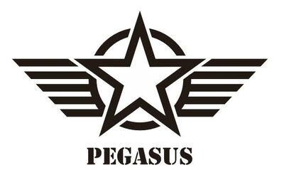 Trademark PEGASUS