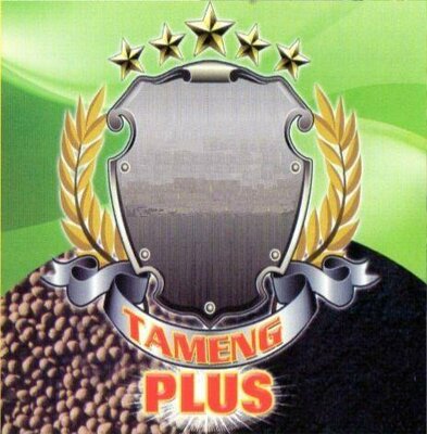 Trademark TAMENG PLUS + LOGO