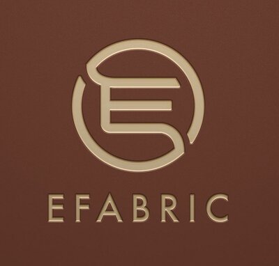 Trademark EFABRIC + LOGO