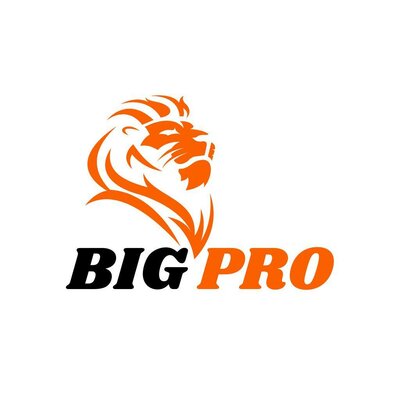 Trademark BIG PRO