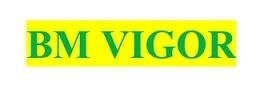 Trademark BM VIGOR