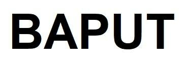 Trademark BAPUT