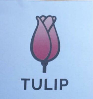 Trademark TULIP + LOGO