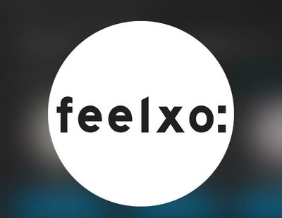 Trademark FEELXO: DAN LOGO