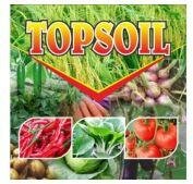 Trademark TOPSOIL DAN LUKISAN