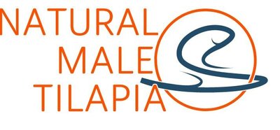 Trademark Natural Male Tilapia