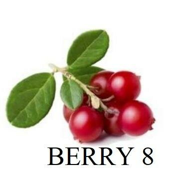 Trademark BERRY 8 + LOGO