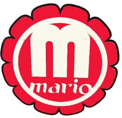 Trademark MARIO + LOGO