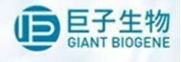 Trademark GIANT BIOGENE + Huruf Mandarin + Logo