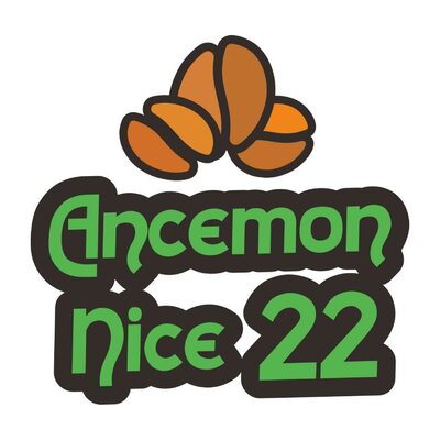 Trademark Ancemon Nice 22 + Lukisan