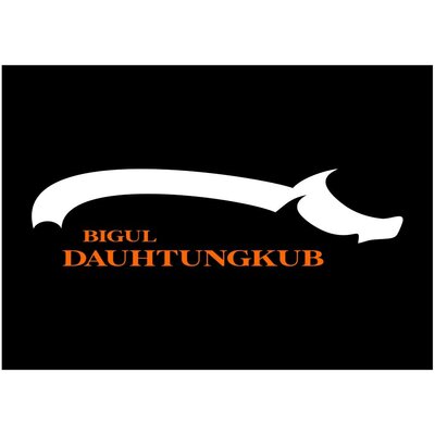 Trademark BIGUL DAUHTUNGKUB