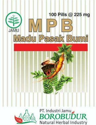 Trademark MPB Madu Pasak Bumi Borobudur