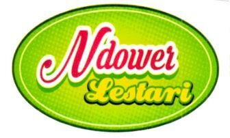 Trademark NDOWER LESTARI