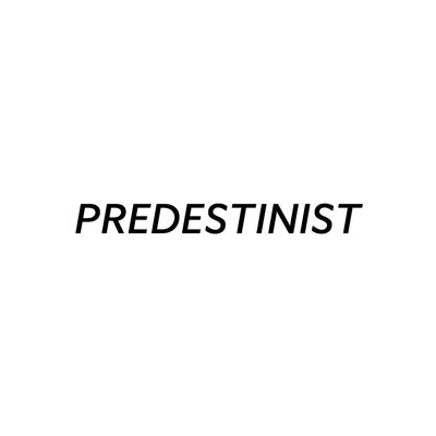 Trademark PREDESTINIST