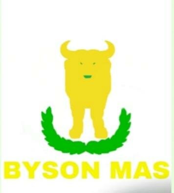 Trademark Byson Mas