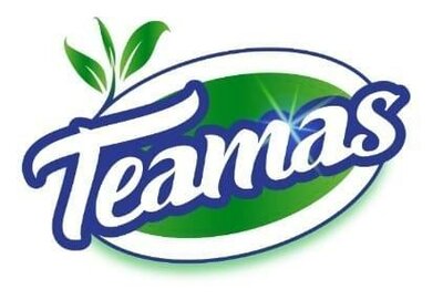 Trademark TEAMAS dan logo