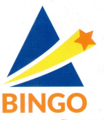 Trademark BINGO