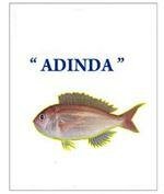 Trademark ADINDA