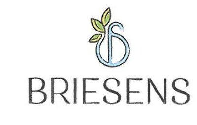 Trademark BRIESENS + logo