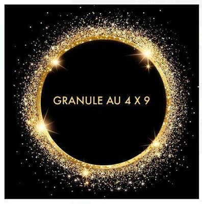 Trademark GRANULE AU 4 X 9