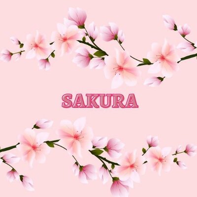 Trademark SAKURA DAN LOGO