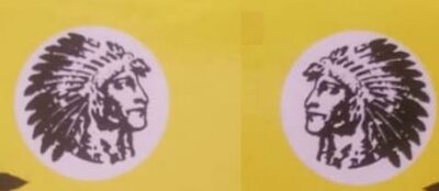 Trademark Logo Kepala Indian