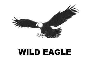 Trademark WILD EAGLE + LOGO