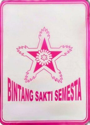 Trademark BINTANG SAKTI SEMESTA