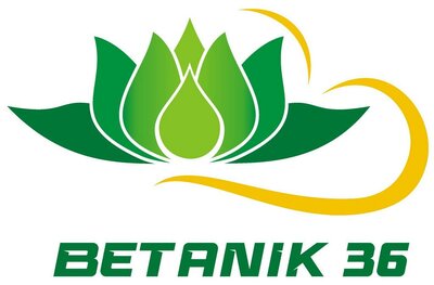 Trademark BETANIK 36