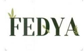 Trademark Fedya