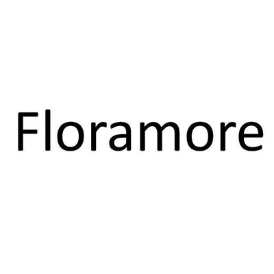 Trademark Floramore