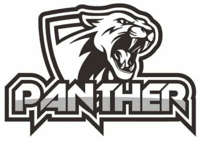 Trademark PANTHER + logo