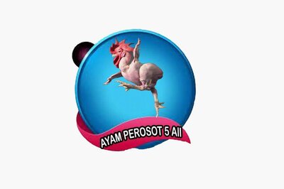 Trademark AYAM POROSOT All