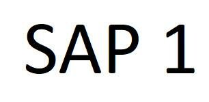 Trademark SAP 1