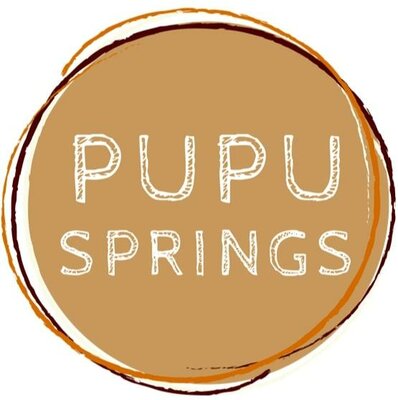 Trademark Pupu Springs