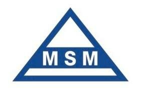 Trademark MSM & Logo