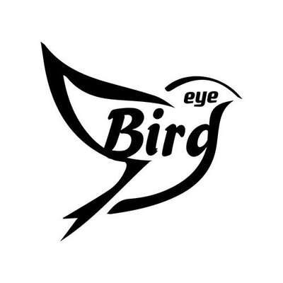 Trademark BIRD EYE + LOGO