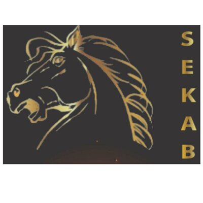 Trademark SEKAB