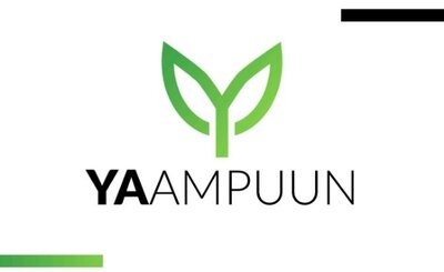 Trademark YA AMPUUN