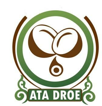 Trademark ATA DROE + LOGO