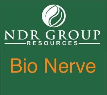 Trademark NDR GROUP BIONERVE RESOURCES + GAMBAR/LOGO